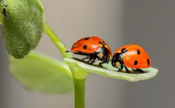 Z czego wynikają błędy w komunikacji interpersonalnej?